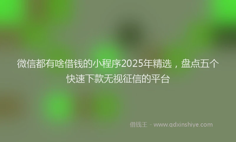 微信都有啥借钱的小程序2025年精选，盘点五个快速下款无视征信的平台
