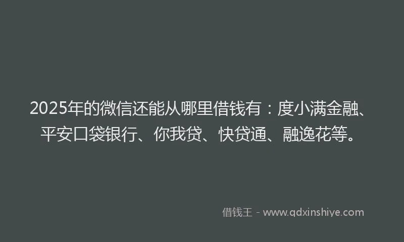 2025年的微信还能从哪里借钱有：度小满金融、平安口袋银行、你我贷、快贷通、融逸花等。