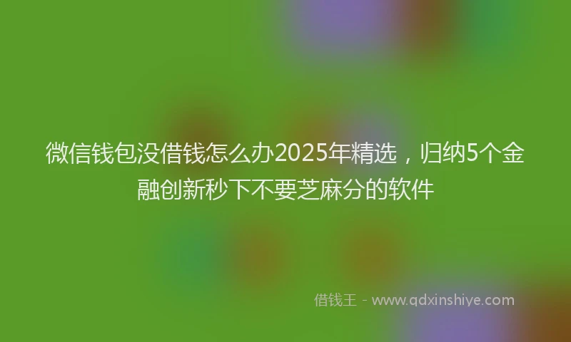 微信钱包没借钱怎么办2025年精选，归纳5个金融创新秒下不要芝麻分的软件