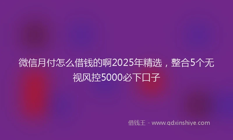 微信月付怎么借钱的啊2025年精选，整合5个无视风控5000必下口子