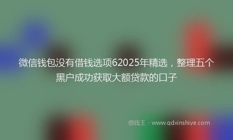 微信钱包没有借钱选项62025年精选，整理五个黑户成功获取大额贷款的口子