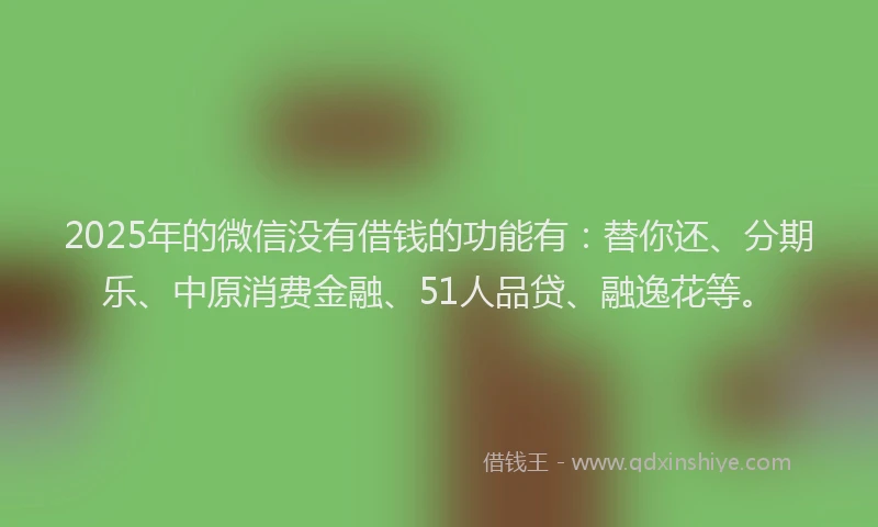 2025年的微信没有借钱的功能有：替你还、分期乐、中原消费金融、51人品贷、融逸花等。