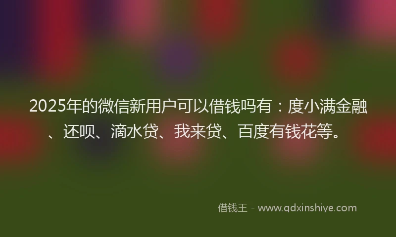 2025年的微信新用户可以借钱吗有：度小满金融、还呗、滴水贷、我来贷、百度有钱花等。