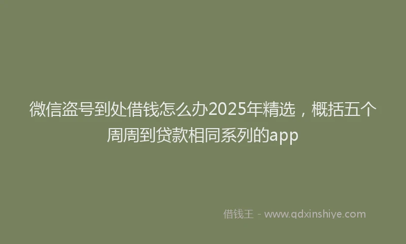 微信盗号到处借钱怎么办2025年精选，概括五个周周到贷款相同系列的app