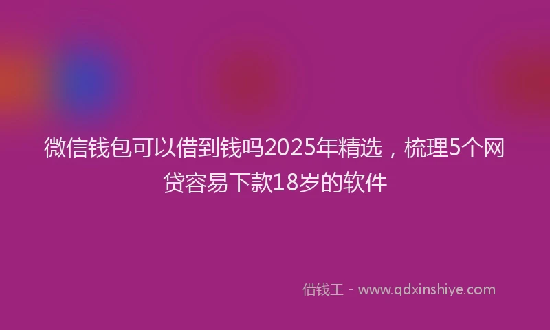 微信钱包可以借到钱吗2025年精选，梳理5个网贷容易下款18岁的软件