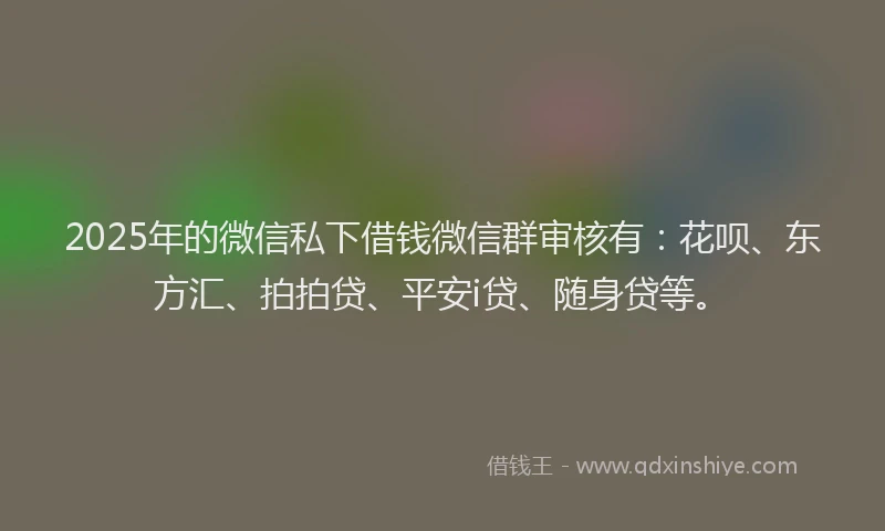 2025年的微信私下借钱微信群审核有：花呗、东方汇、拍拍贷、平安i贷、随身贷等。