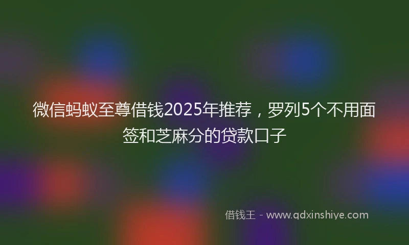 微信蚂蚁至尊借钱2025年推荐，罗列5个不用面签和芝麻分的贷款口子