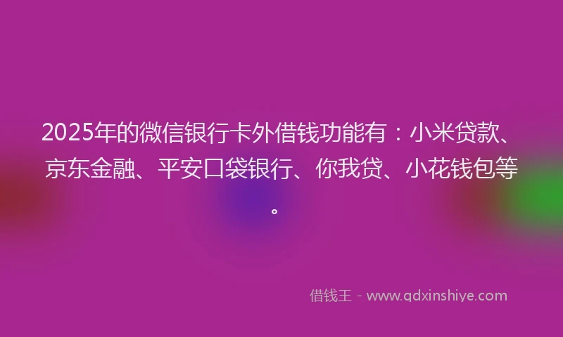2025年的微信银行卡外借钱功能有:小米贷款、京东金融、平安口袋银行、你我贷、小花钱包等。