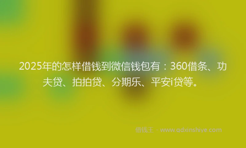 2025年的怎样借钱到微信钱包有：360借条、功夫贷、拍拍贷、分期乐、平安i贷等。