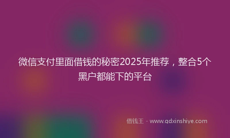 微信支付里面借钱的秘密2025年推荐，整合5个黑户都能下的平台