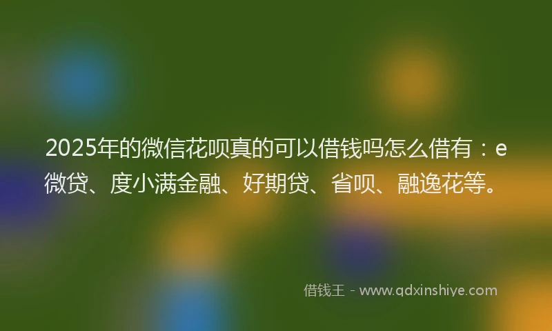 2025年的微信花呗真的可以借钱吗怎么借有：e微贷、度小满金融、好期贷、省呗、融逸花等。