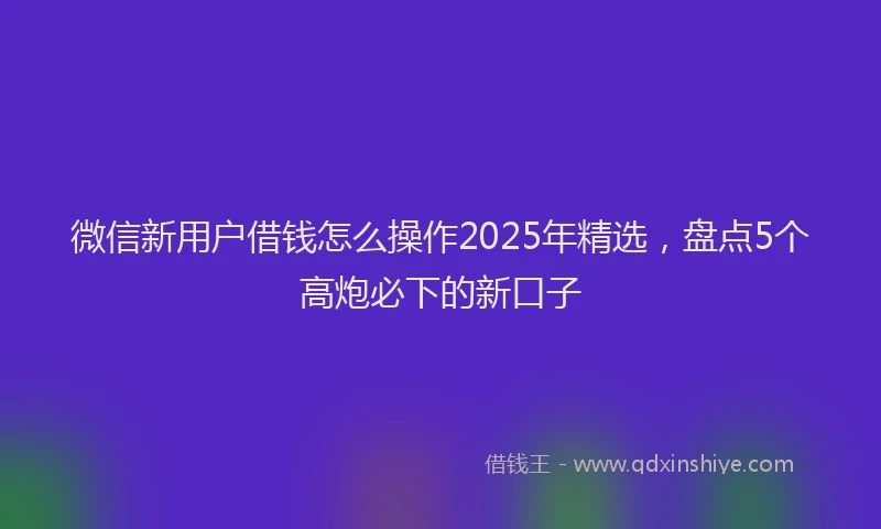 微信新用户借钱怎么操作2025年精选，盘点5个高炮必下的新口子