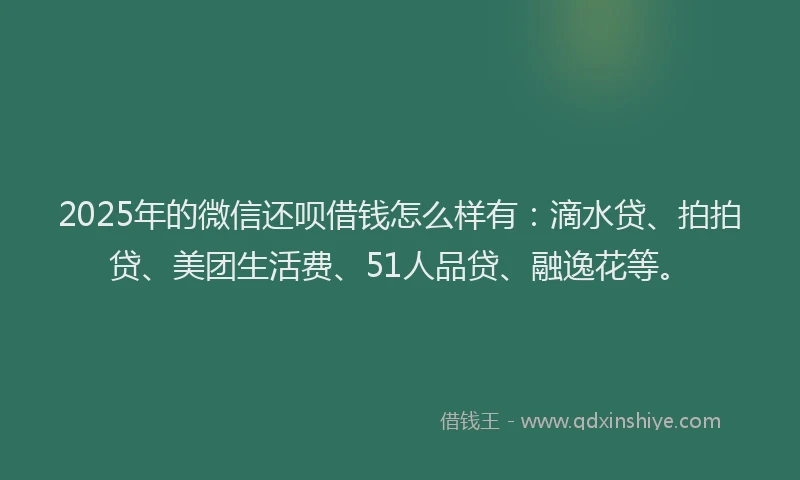 2025年的微信还呗借钱怎么样有：滴水贷、拍拍贷、美团生活费、51人品贷、融逸花等。