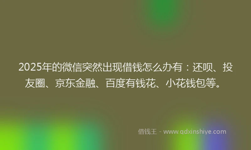 2025年的微信突然出现借钱怎么办有：还呗、投友圈、京东金融、百度有钱花、小花钱包等。