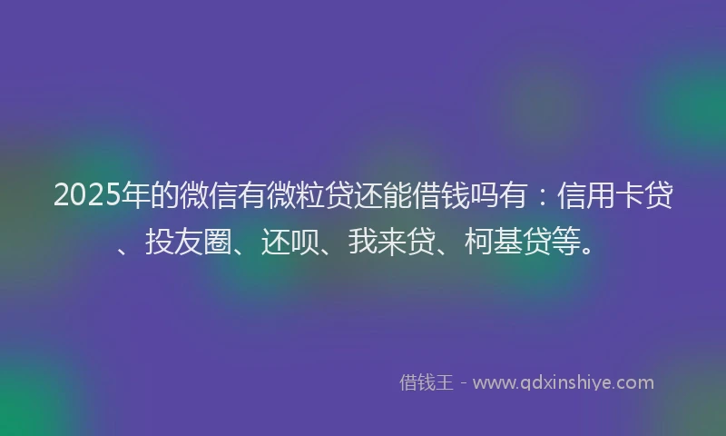 2025年的微信有微粒贷还能借钱吗有：信用卡贷、投友圈、还呗、我来贷、柯基贷等。