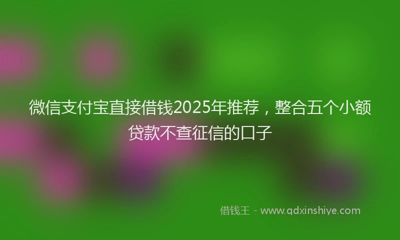 微信支付宝直接借钱2025年推荐，整合五个小额贷款不查征信的口子