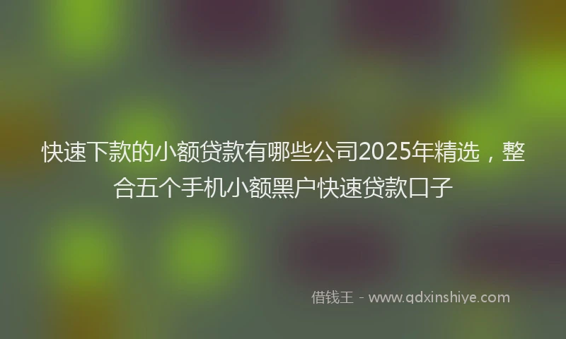 快速下款的小额贷款有哪些公司2025年精选，整合五个手机小额黑户快速贷款口子