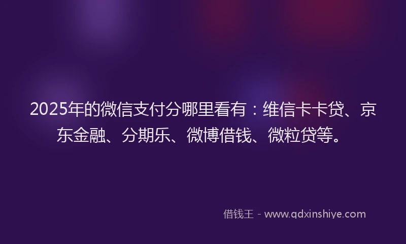 2025年的微信支付分哪里看有：维信卡卡贷、京东金融、分期乐、微博借钱、微粒贷等。