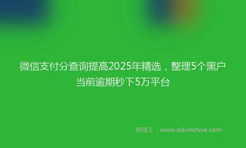 微信支付分查询提高2025年精选，整理5个黑户当前逾期秒下5万平台