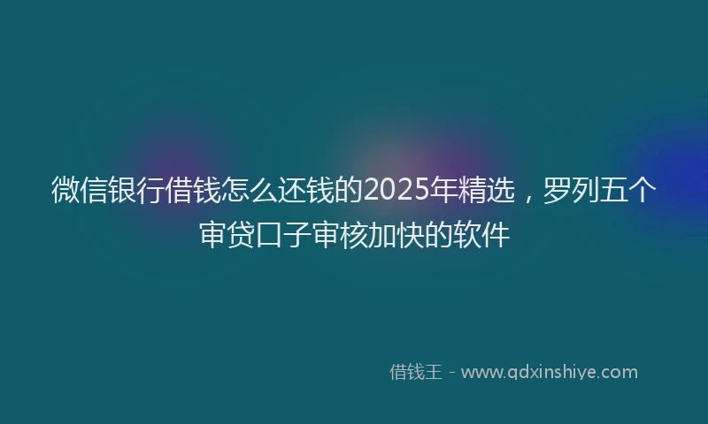 微信银行借钱怎么还钱的2025年精选，罗列五个审贷口子审核加快的软件