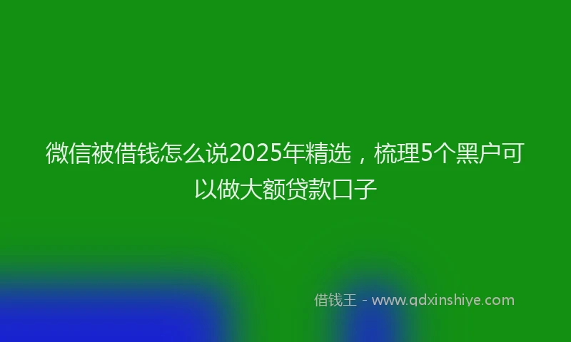 微信被借钱怎么说2025年精选，梳理5个黑户可以做大额贷款口子