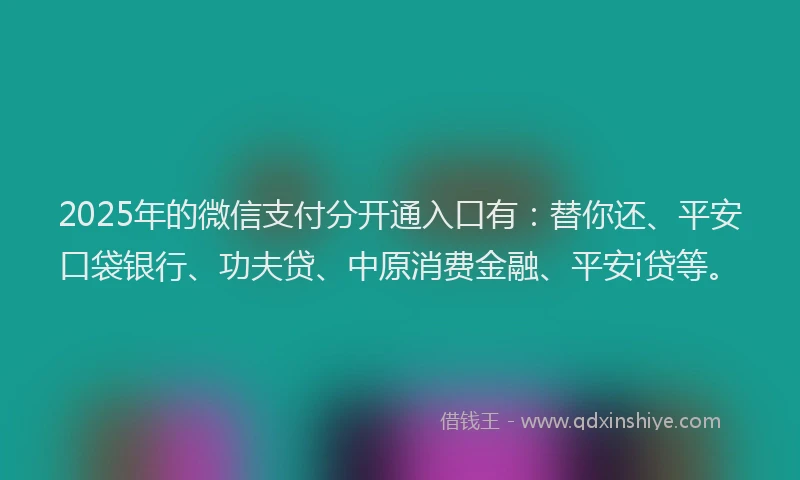 2025年的微信支付分开通入口有：替你还、平安口袋银行、功夫贷、中原消费金融、平安i贷等。
