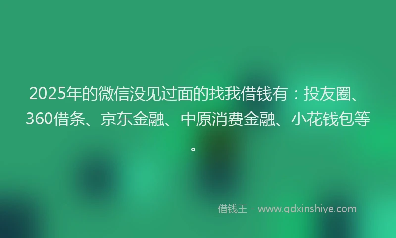 2025年的微信没见过面的找我借钱有：投友圈、360借条、京东金融、中原消费金融、小花钱包等。