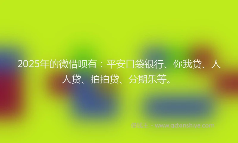 2025年的微借呗有：平安口袋银行、你我贷、人人贷、拍拍贷、分期乐等。
