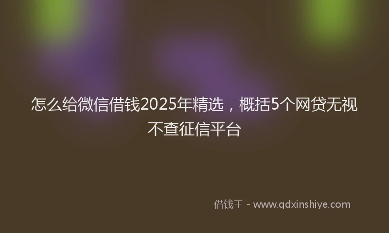 怎么给微信借钱2025年精选，概括5个网贷无视不查征信平台