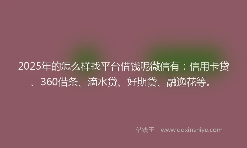 2025年的怎么样找平台借钱呢微信有：信用卡贷、360借条、滴水贷、好期贷、融逸花等。
