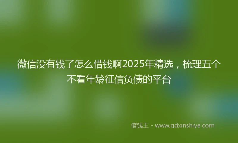 微信没有钱了怎么借钱啊2025年精选，梳理五个不看年龄征信负债的平台