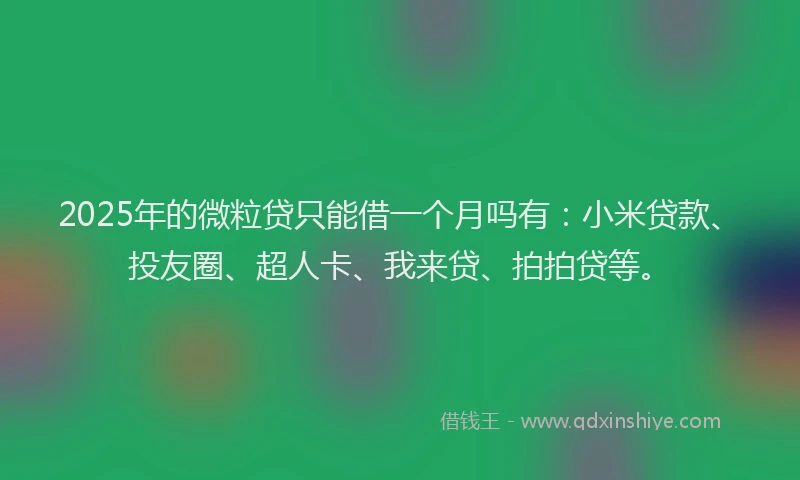 2025年的微粒贷只能借一个月吗有：小米贷款、投友圈、超人卡、我来贷、拍拍贷等。