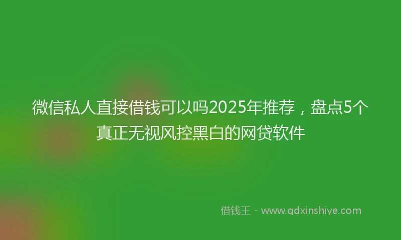 微信私人直接借钱可以吗2025年推荐，盘点5个真正无视风控黑白的网贷软件