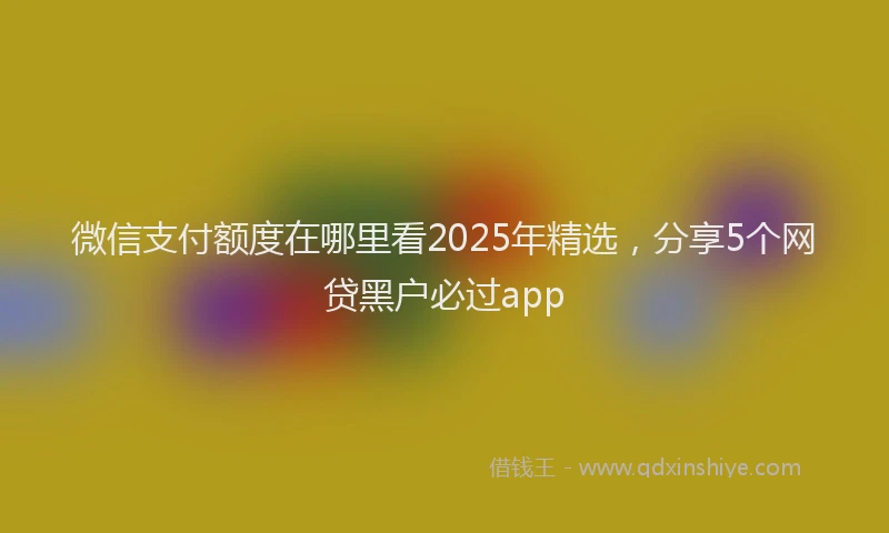 微信支付额度在哪里看2025年精选，分享5个网贷黑户必过app