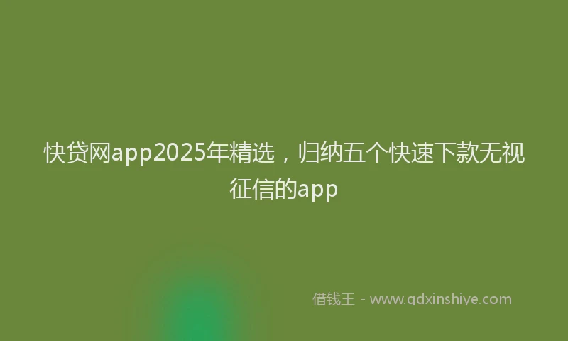 快贷网app2025年精选，归纳五个快速下款无视征信的app