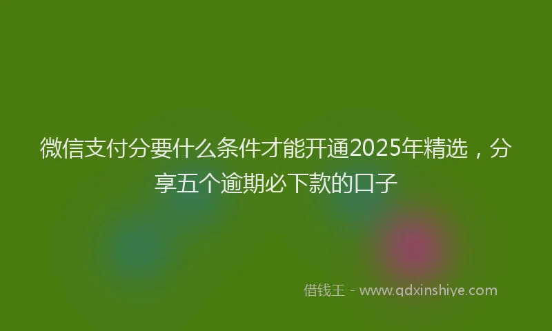微信支付分要什么条件才能开通2025年精选，分享五个逾期必下款的口子