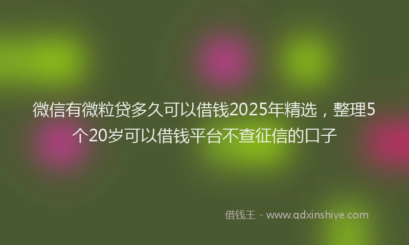 微信有微粒贷多久可以借钱2025年精选，整理5个20岁可以借钱平台不查征信的口子