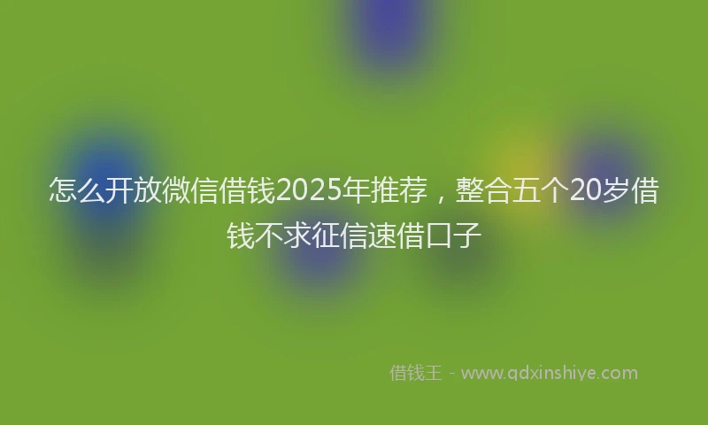 怎么开放微信借钱2025年推荐，整合五个20岁借钱不求征信速借口子