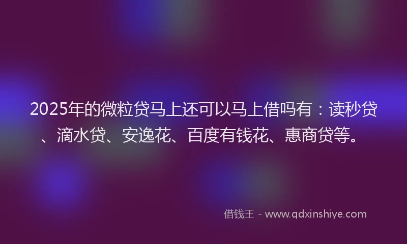 2025年的微粒贷马上还可以马上借吗有：读秒贷、滴水贷、安逸花、百度有钱花、惠商贷等。