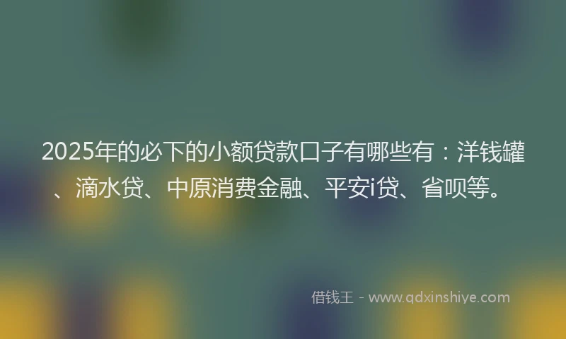2025年的必下的小额贷款口子有哪些有：洋钱罐、滴水贷、中原消费金融、平安i贷、省呗等。