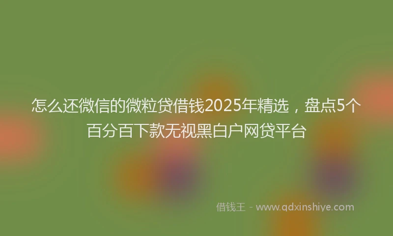 怎么还微信的微粒贷借钱2025年精选，盘点5个百分百下款无视黑白户网贷平台