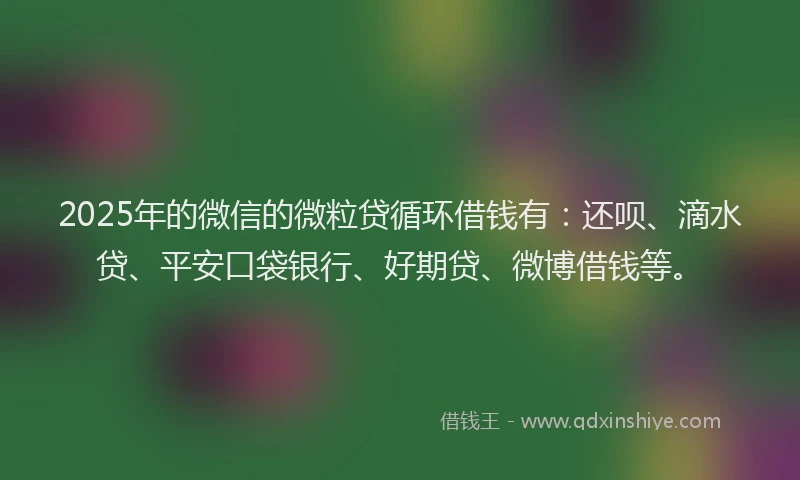 2025年的微信的微粒贷循环借钱有：还呗、滴水贷、平安口袋银行、好期贷、微博借钱等。