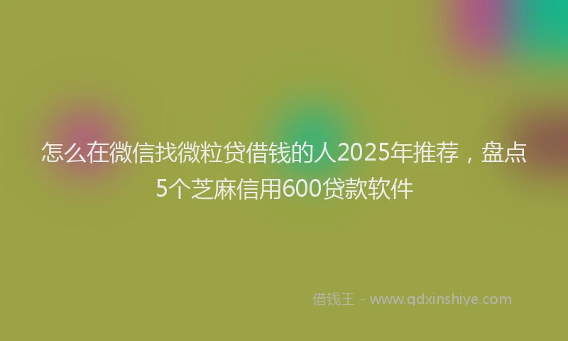怎么在微信找微粒贷借钱的人2025年推荐，盘点5个芝麻信用600贷款软件