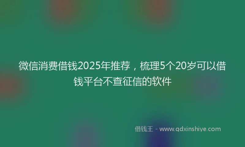 微信消费借钱2025年推荐，梳理5个20岁可以借钱平台不查征信的软件