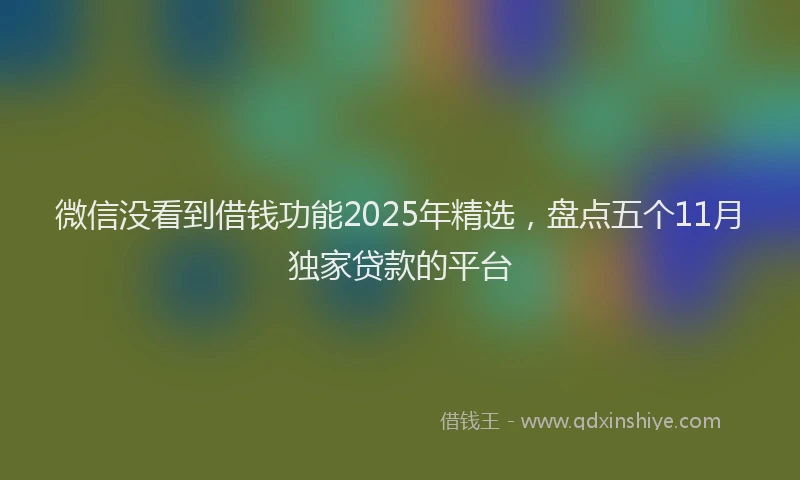 微信没看到借钱功能2025年精选，盘点五个11月独家贷款的平台