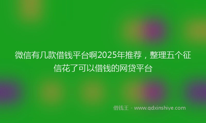 微信有几款借钱平台啊2025年推荐，整理五个征信花了可以借钱的网贷平台
