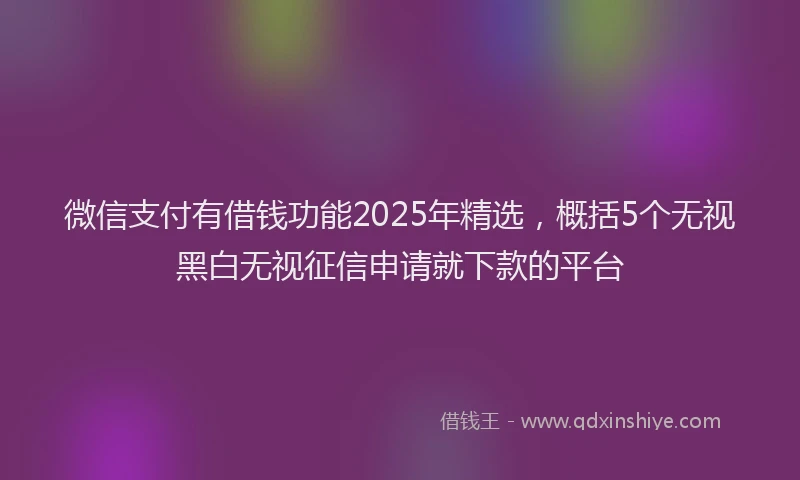 微信支付有借钱功能2025年精选，概括5个无视黑白无视征信申请就下款的平台