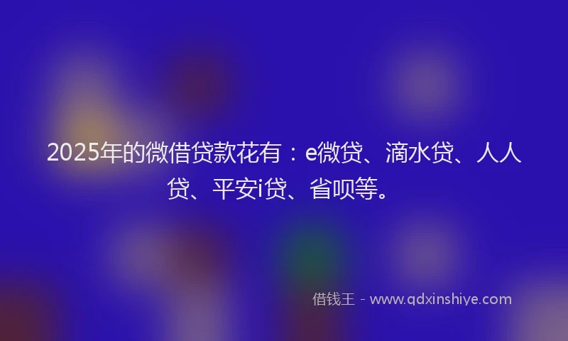 2025年的微借贷款花有：e微贷、滴水贷、人人贷、平安i贷、省呗等。