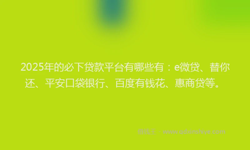 2025年的必下贷款平台有哪些有：e微贷、替你还、平安口袋银行、百度有钱花、惠商贷等。