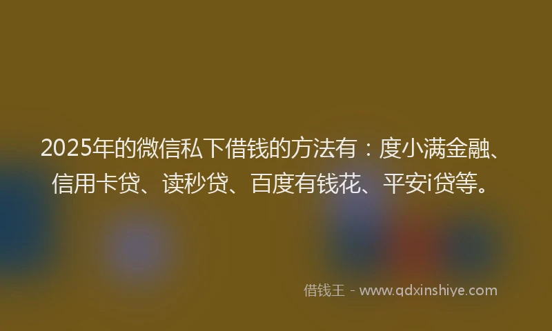 2025年的微信私下借钱的方法有：度小满金融、信用卡贷、读秒贷、百度有钱花、平安i贷等。